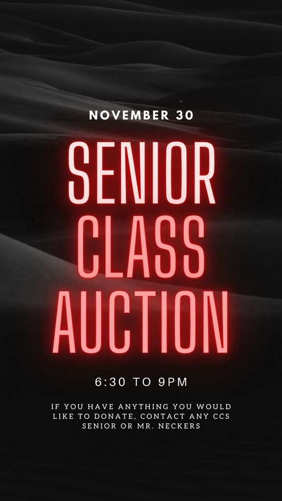 senior auction